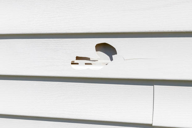 Siding Removal and Disposal in Mineralwells, WV